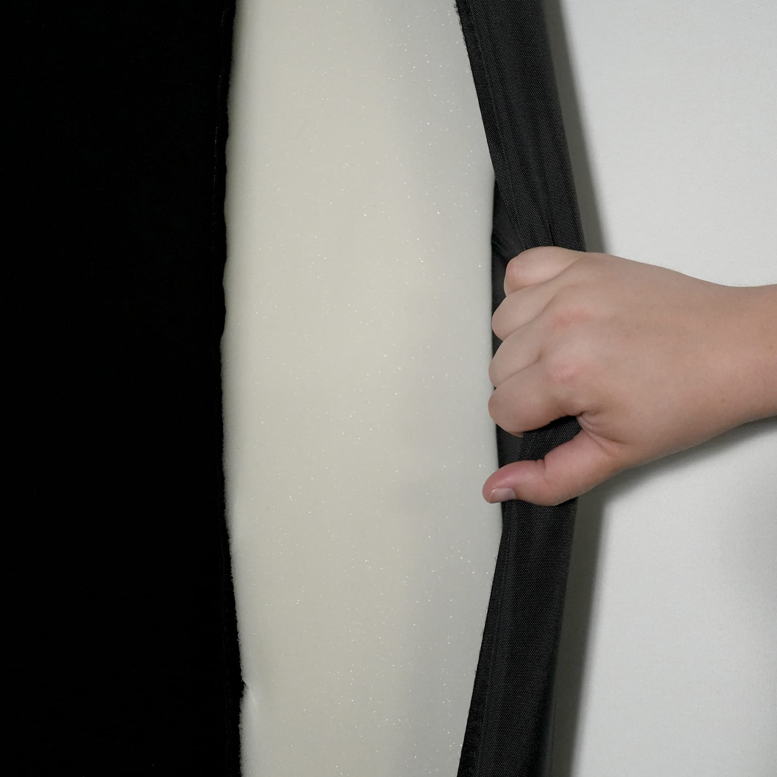 Carl's  C-Series Pro Golf Enclosure